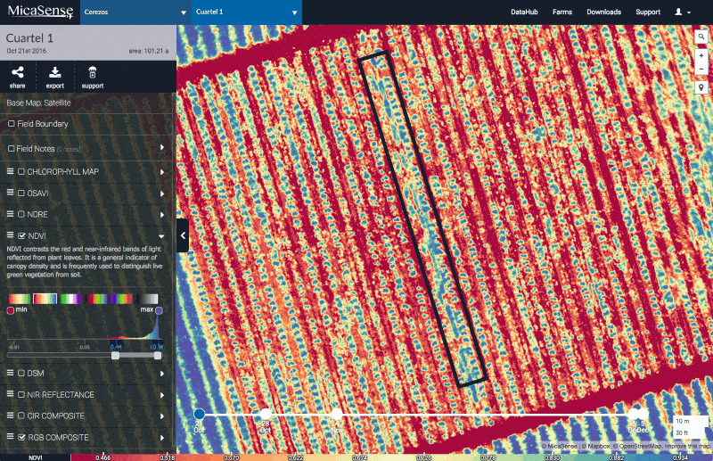 NDVI analysis of a cherry orchard after herbicide application