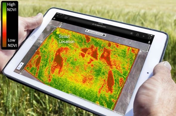 NDVI in agriculture, agriculture drone services