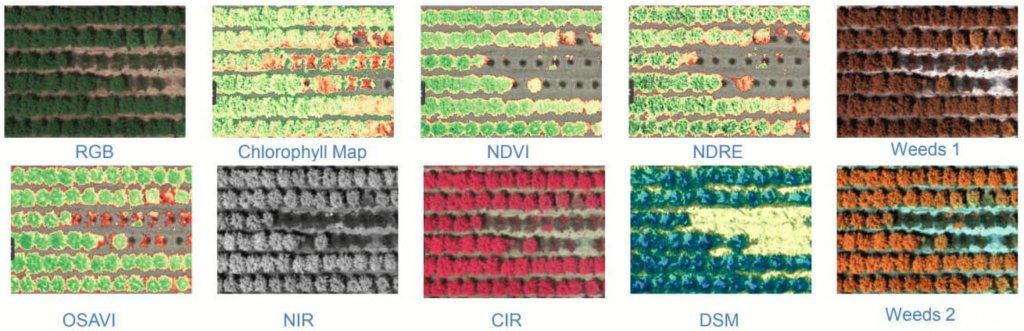 Examples of outputs from our RedEdge Multispectral Sensor