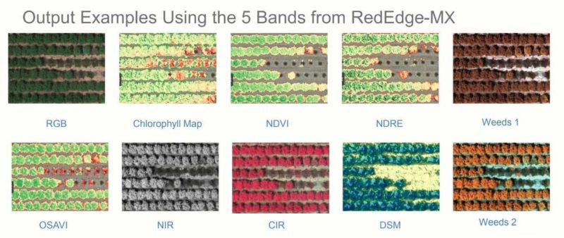 Examples of outputs from our RedEdge Multispectral Sensor
