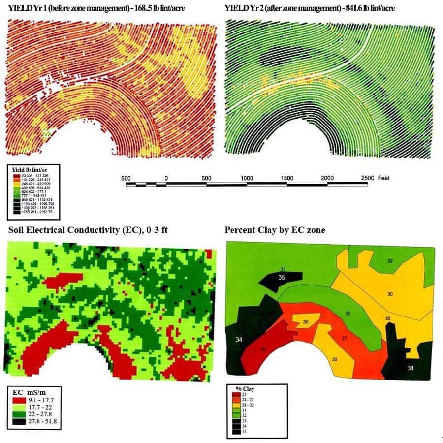 Soil conductivity vs yield in cotton crop