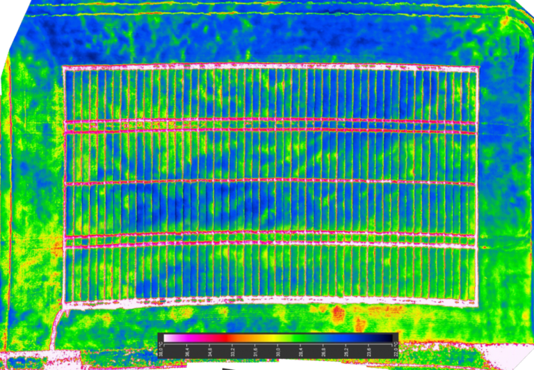 thermal crop analysis