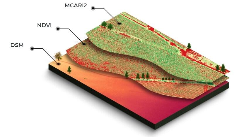 layered data from multispectral trial plots mapping