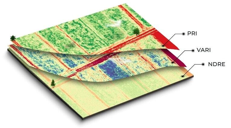 seed trials and trial plots analysis data