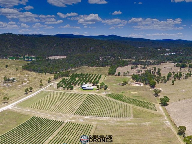 aerial photography of a vineyard