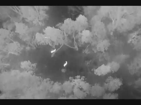 Aerial Thermal Mapping and Photography 4 thermal detection of pest animals using drones