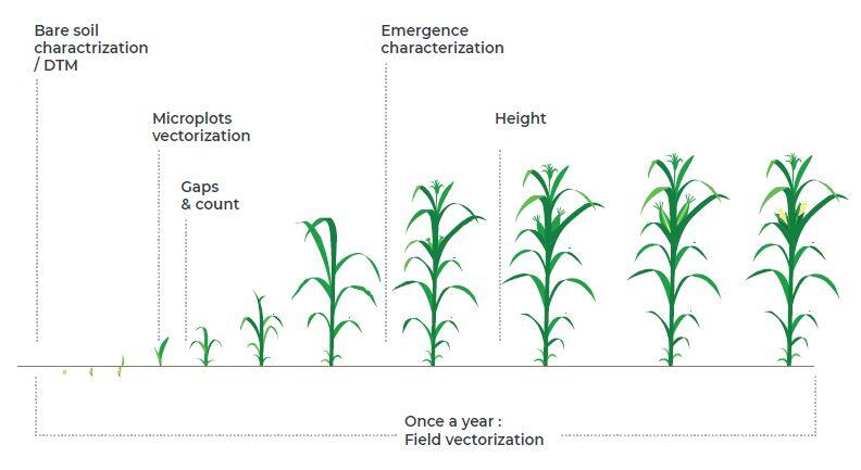 Program to manage performance of seed trials and trial plots