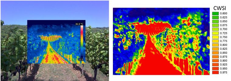 visible and thermal crop imaging